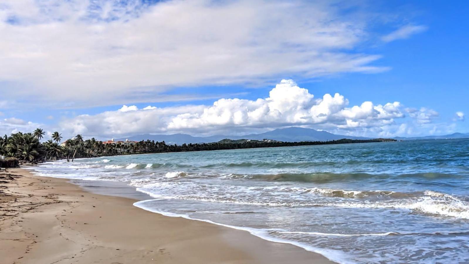 הומאסאו Bv103 - Amazing Oceanfront Condo Steps From Beach מראה חיצוני תמונה